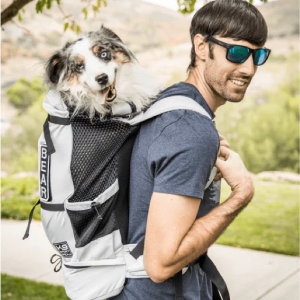 Gray Dog Travel Carrier for Comfortable Journeys